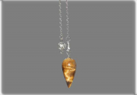 KAPLAN GÖZÜ DAMLA SARKAÇ