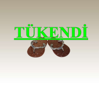 YILDIZ TAŞI TERLİK KOLYE