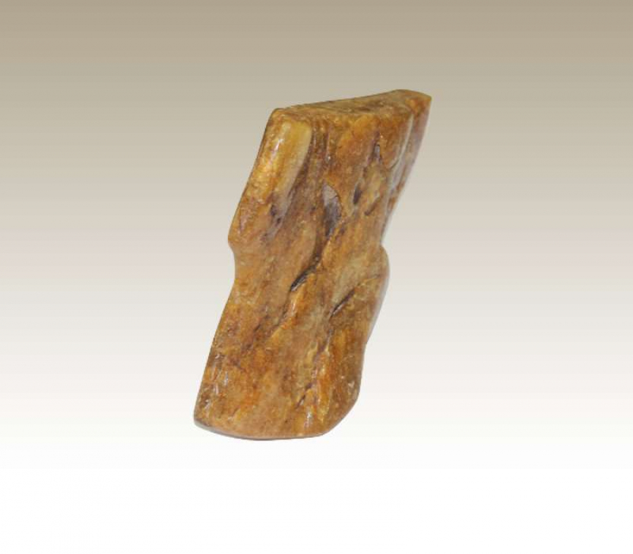 thumbKÜTLE KEHRİBAR TAŞI ( 463,2 GR )